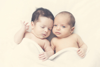 人工受孕可以选双胞胎吗？