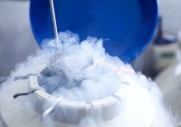试管婴儿冻胚移植的成功率怎么样？