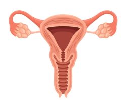 卵巢囊肿是什么原因形成的?