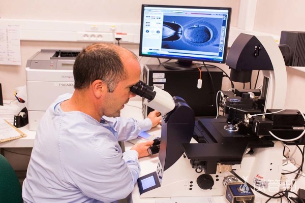 上海做试管婴儿少钱