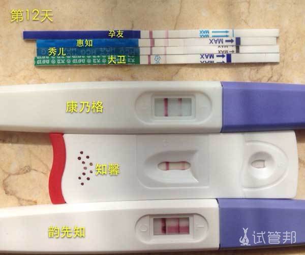 怀孕测孕纸两条杠图片