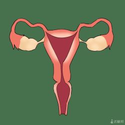 检查出阴道发育异常,还能怀孕吗?