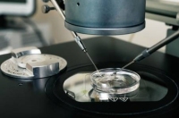 试管婴儿做冻胚移植的流程是怎样的?