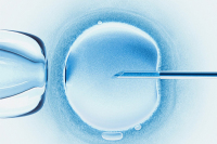 做试管取卵后多久可以进行冻胚移植?