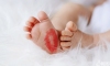 青岛哪家医院可以做三代试管婴儿?
