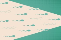 男性得了精囊炎会影响精子质量造成不育吗?