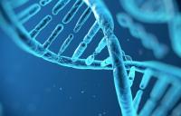 基因筛查能查出什么?