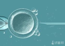 试管婴儿精子和卵子结合需要多长时间?