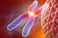 性染色体异常会导致哪些疾病?