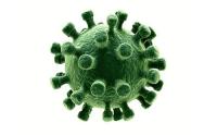 什么是风疹病毒igg阴性?