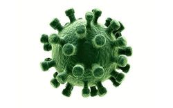 什么是风疹病毒igg阴性?