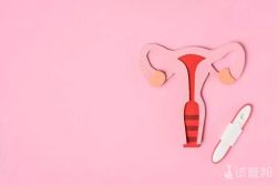 双阴道有哪些症状表现?