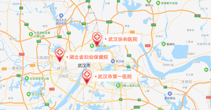 湖北试管婴儿医院地图