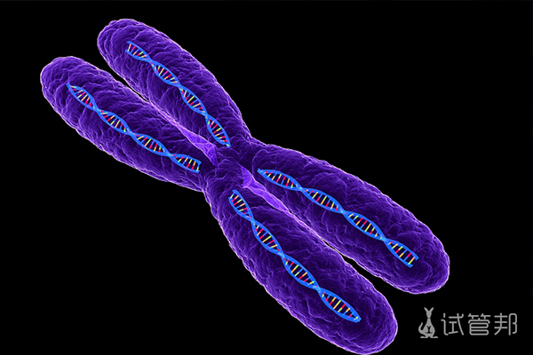 男性染色体質常有哪些症状表现