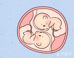 双胞胎孕期有哪些注意事项?
