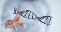 基因筛查怎样检查?