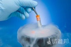 试管婴儿冻胚移植具体有哪些步骤?
