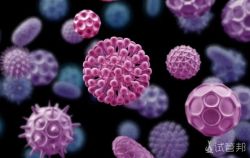 HPV（人乳头瘤病毒）感染影响生育吗?
