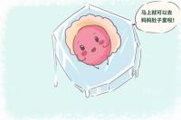 冻胚移植和鲜胚移植有什么区别?