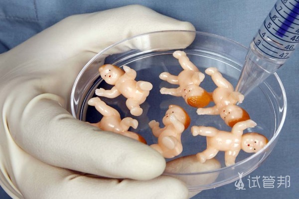 做试管可以多放几个胚胎？