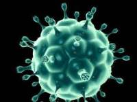HPV（人乳头瘤病毒）治愈后多久可以怀孕?