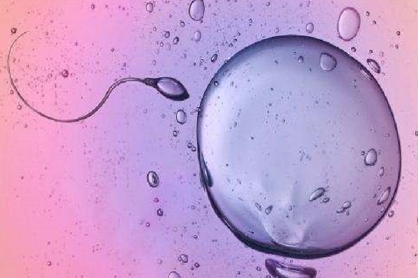 东莞试管助孕借卵生子结构排名最新汇总