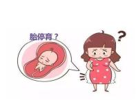 做试管婴儿能不能避免胎停育?