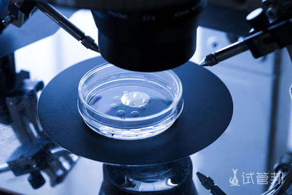 7335d4a538995ce7bd357b4f9bdb872d.jpg 怎么治疗支原体感染