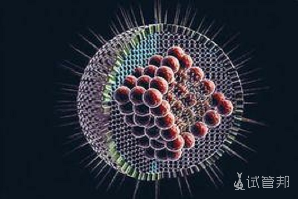 单纯疱疹病毒igg阳性与IgM阳性有什么区别