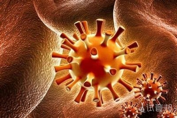 单纯疱疹病毒l型lgG抗体阳性怎么办