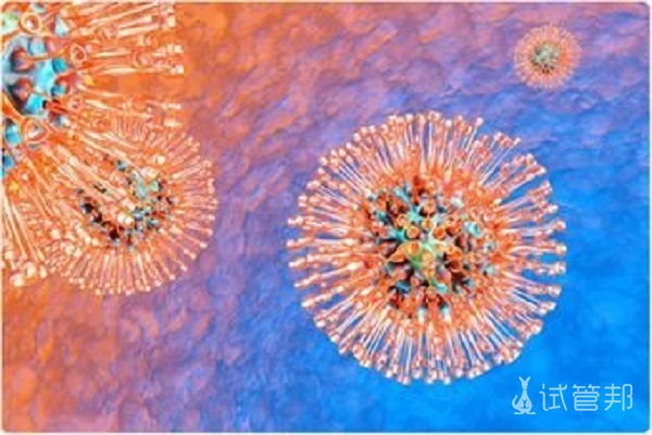 如何检测1型单纯疱疹病毒