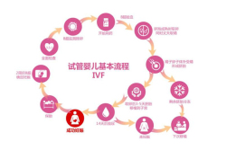 在上海新华医院历经3个月，试管婴儿全记录