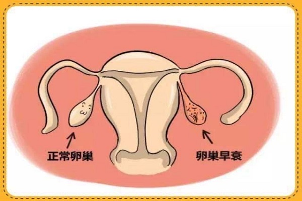 上海专业代怀联系电话上海人工受孕怀孕几率大吗