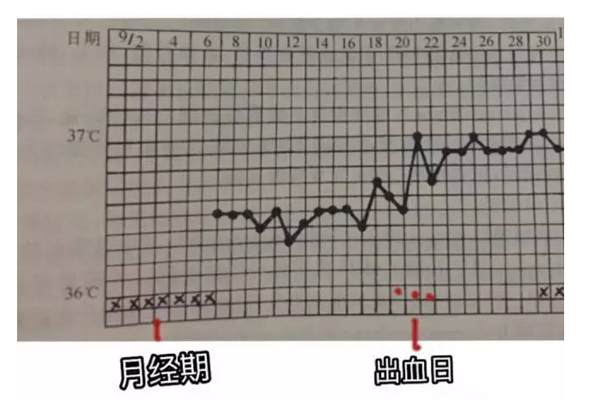 基础体温曲线图怎么绘制