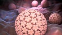 HPV（人乳头瘤病毒）怎样预防?