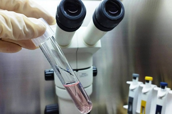 e41c149ab3b43fdaaec3d7f8a960a5a5.jpg 卵巢早衰能做试管婴儿吗?