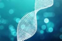 基因筛查主要筛查什么?