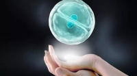 试管婴儿冻胚移植成功有哪些征兆?