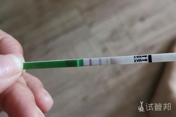 467cd316535d5f1e030487fba65ff0c5.jpg 福建试管婴儿一次成功经历