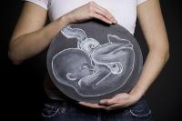 胎停育后下次怀孕前需要做哪些检查?