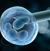 试管婴儿冻胚移植的缺点是什么?