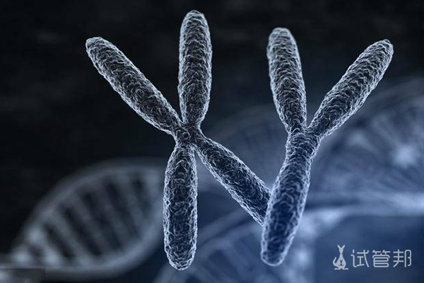 双Y染色体的人能生育吗