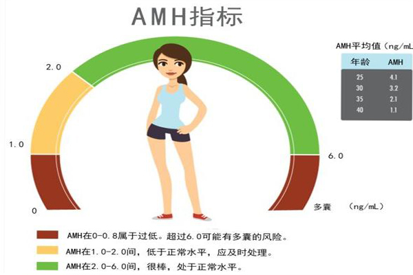 AMH低=不孕不育