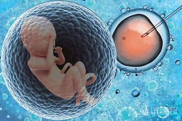 f92cb0b5bd7ee11275e485cd98a769ec.jpg 试管婴儿周期是多久