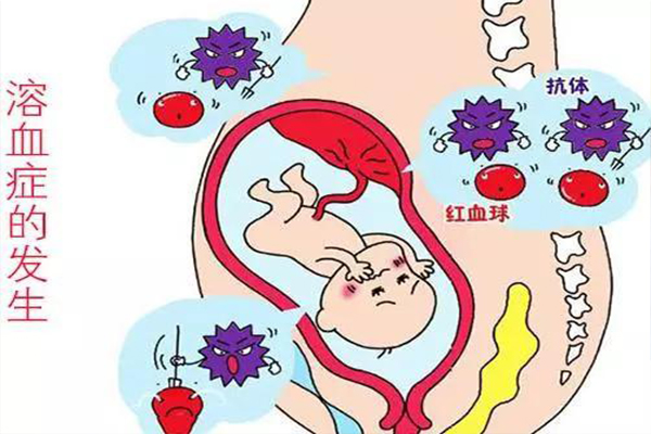 北京代生宝宝包成功做二代试管对精子的要求北京试管婴儿北京哪家医院好