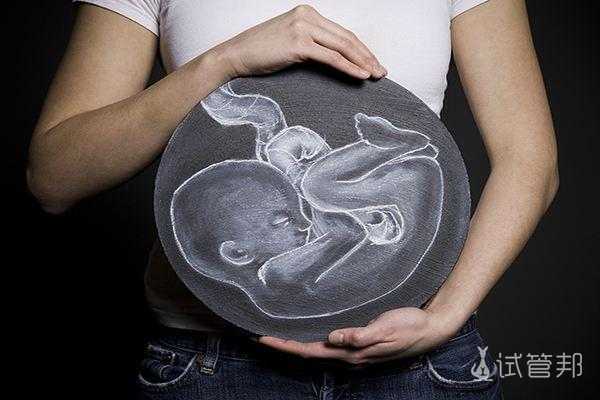 胚胎停育的原因