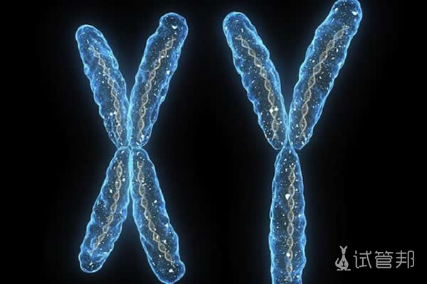 染色体结构变异