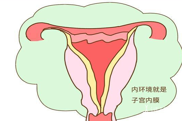 子宫内膜厚度多少是正常