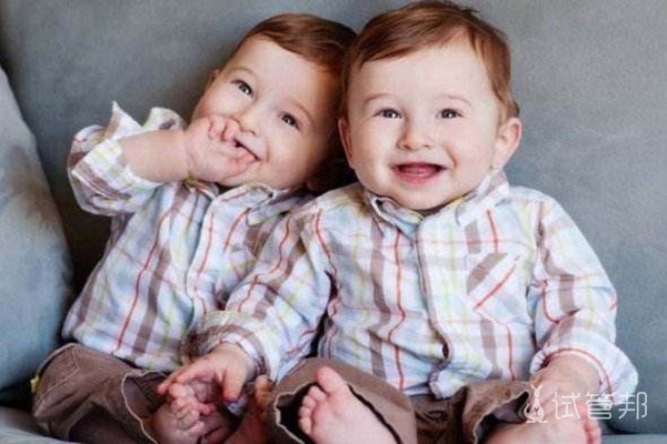 异卵双胞胎的性别概率是多少