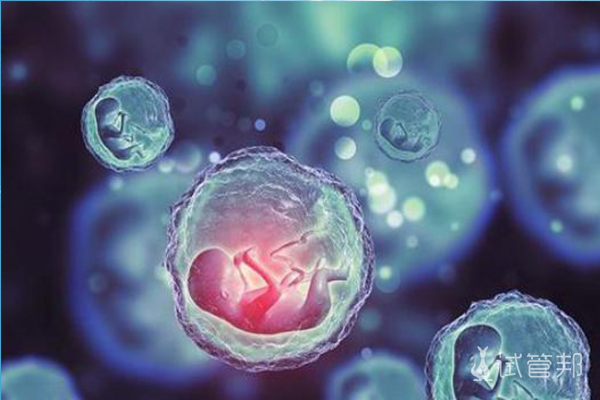 671ad271c0d1515c62863e88ef744416.jpg 俄罗斯试管婴儿专家促排三法定,保障女性取到优质卵子且自身不受伤害